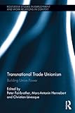 Transnational trade unionism : building union power