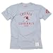 Retro Sport - Men's Chicago Cardinals Tee (Grey) Image