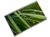 10.1 1024*600 Glossy 40pins LED Screen Compatible with Lltn101nt02-b01,ltn101nt02-w05,ltn101nt06,lp101wsa-tln1,lp101wsa-tlp1,lp101wsa-tlb1