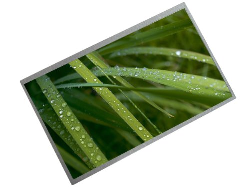 10.1 1024*600 Glossy 40pins LED Screen Compatible with Lltn101nt02-b01,ltn101nt02-w05,ltn101nt06,lp101wsa-tln1,lp101wsa-tlp1,lp101wsa-tlb1