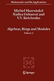 Algebras, Rings and Modules: Volume 2 (Mathematics and Its Applications (closed))