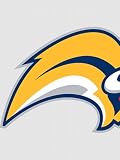 Wallpaper Fathead Fathead NHL Players & Logos Buffalo Sabres Logo X4HHGR74