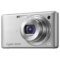 Sony DSC-W380S Digitalkamera (14 Megapixel, 24mm Sony G Weitwinkelobjektiv mit 5fach optischem Zoom, 6,9 cm (2,7 Zoll) LC-Display, HD Video (720p)) silber