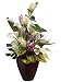34" Artificial Cream & Fuchsia Tropical Flower Arrangement