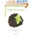 Composting: An Easy Household Guide (The Chelsea Green Guides)