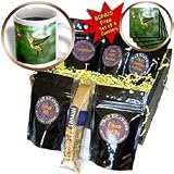 Birds - Hummingbird - Coffee Gift Baskets - Coffee Gift Basket