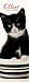 Kitchen & Housewares : Kittens 2009 Slimline Wall Calendar
