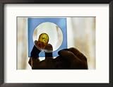 Gem Cutter Observing Insects Imbedded in Amber Framed Photographic Poster Print by Steve Raymer, 21x17