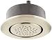 Moen TS1322BN Round Body Spray, Brushed Nickel