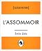 L'Assommoir (Les Rougon-Macquart, #7)