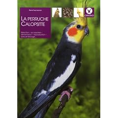 La perruche Calopsitte