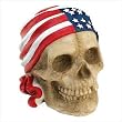 Biker Skull Bank Biker Skull Bank