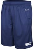 New York Yankees 2010 Johnson Navy Mesh Shorts
