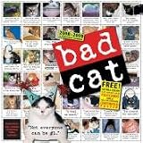 Bad Cat 2008-2009 Calendar (Wall Calendars)