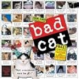 Bad Cat Wall Calendar 2009 (Wall Calendars)