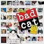 Bad Cat Wall Calendar 2009 (Wall Calendars)
