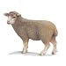 Schleich 13283 - Schaf stehend