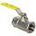 Apollo 96-100 Series Stainless Steel Ball Valve, Unibody, Inline, Lever, NPT Female