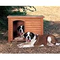 Dog House