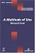 A multitude of Sins : Richard Ford