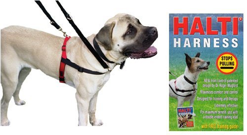 Halti Dog Harness Small