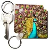 Birds - Colorful Peacock - Key Chains