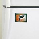 Miami Dolphins Nfl Magnet