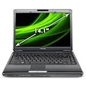 Toshiba Satellite M305-S4907 14.1-Inch Laptop (2.16 GHz Intel Pentium Processor T3400 Processor, 4 GB RAM, 320 GB Hard Drive, Webcam, Vista Premium)