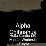Hella Cardio (30 Minute Workout)