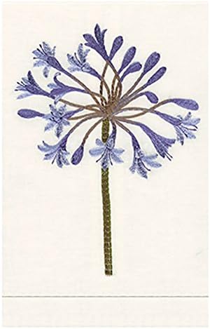 Anali Embroidered Linen Guest Towel - Agapantha (Natural White)