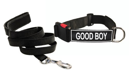 good boy dog collar
