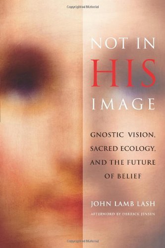 Not in His Image: Gnostic Vision, Sacred Ecology, and the Future of Belief by John Lamb Lash (2006) Paperback