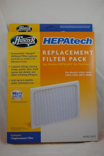Hunter 30920 Replacement Air Purifier HEPA Filter