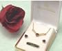 Stunning Ruby Red & Clear Austrian Crystal Necklace with Matching Red Heart Stud Earrings Leatherette Gift Box