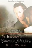 Search : The Seduction of Shamus O'Rourke (Jamesville)