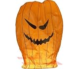 50pc Pumpkin Sky Lantern