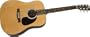 Rogue RA-100D Dreadnought Acoustic Guitar Natural