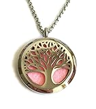 Diffuser Necklace, Denee Aromatherapy Essential Oil Diffuser Necklace Jewelry, Hypo-Allergenic 316L Surgical Grade Stainless Steel Locket Pendant with 24