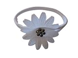 White Flower Headband