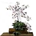 Nearly Natural Phalaenopsis Silk Orchid Flower w/Leaves (6 Stems)