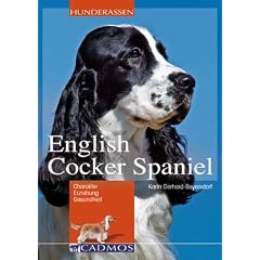 English Cocker Spaniel: Charakter, Erziehung, Gesundheit