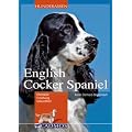 English Cocker Spaniel: Charakter, Erziehung, Gesundheit