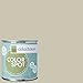 Inspired Eggshell Interior Colorspot Paint Sample, Metal .01, 8-oz