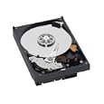 Western Digital Caviar SE16 500GB SATA-300 Internal 7200RPM 16MB Hard Drive - WD5000AAKS (Replaced WD5000KS)