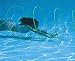 Swim-Through Hoops Pool Toy 4-Pack
