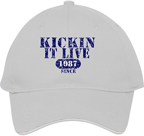 2015 New Male/female Fashion Adjustable Baseball Caps Snapback Hats Average Joe Kickin It Live Logo T Shirt White Cotton