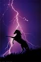 Lightning and Silhouette of Horse Art Poster Print, 24x36