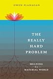 The Really Hard Problem: Meaning in a Material World (Bradford Books)