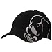 Theme Cap-Big Grey Skull
