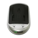 Sony HDR-FX1, HDR-FX1000, HDR-FX7, and HVR-HD1000U Battery Charger (100-240V) with Car Adapter - Wasabi Power&reg;